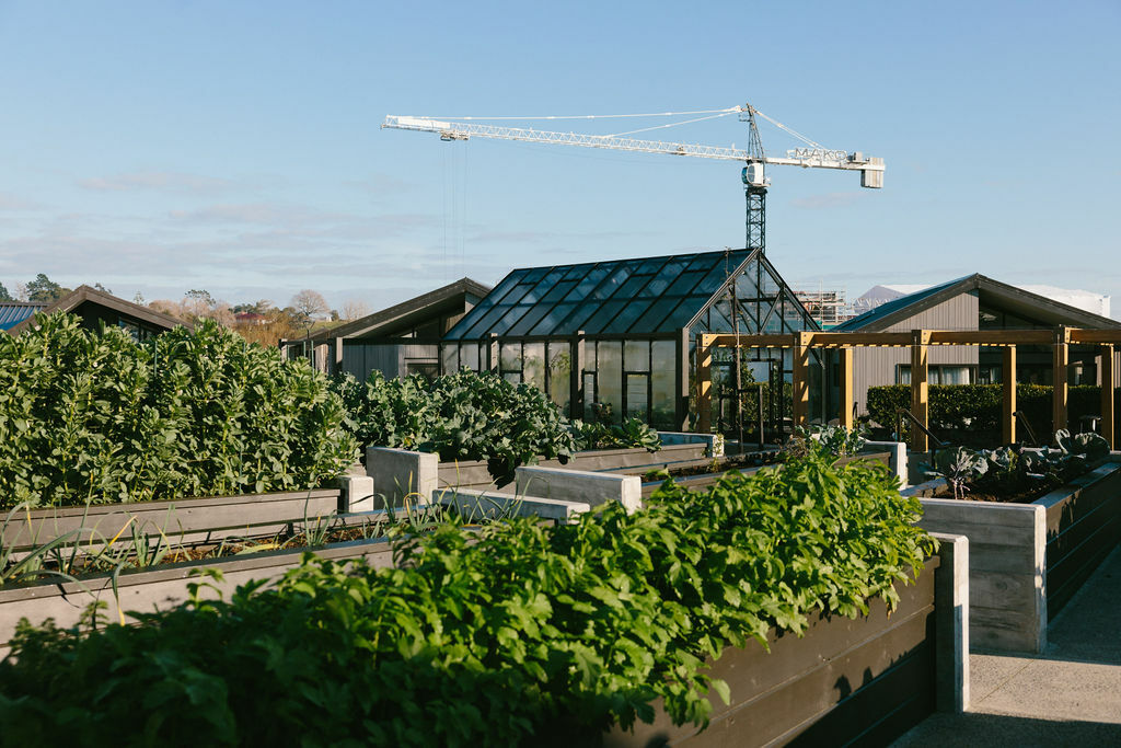 Community Gardens JC July2024 04